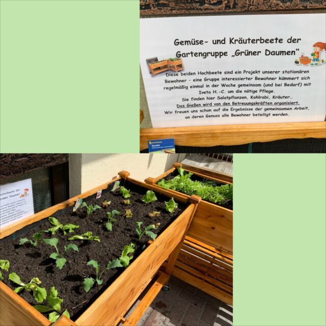 Hochbeete im Garten